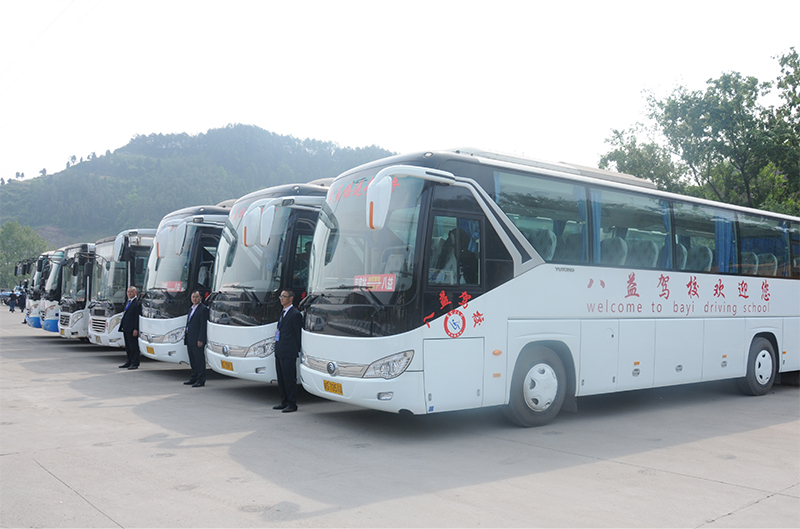 A1、A3驾驶培训